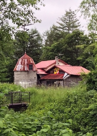 photo.jpg