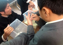 20131112_koka_07.jpg