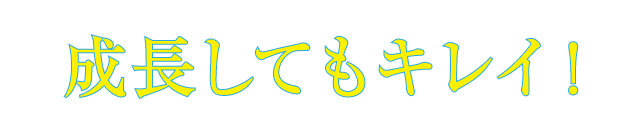 成長してもキレイ！
