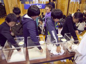 20130326164043099.jpg