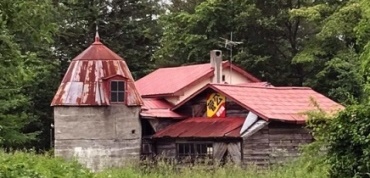 photo2.jpg
