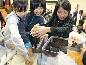 20130326160428819.jpg