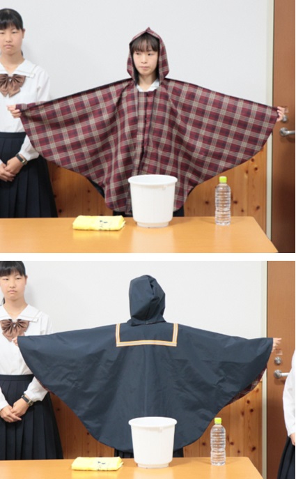 mps2.jpg