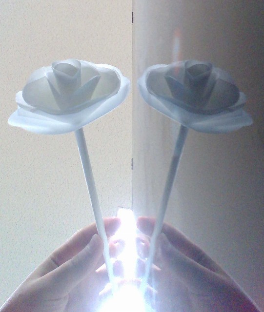 tamashimakita10.jpg
