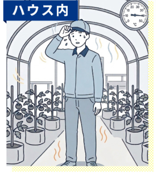 ハウス内.png