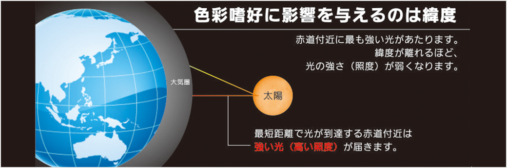 fig-6@2x.png